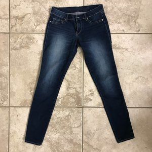 Express Navy Jeggings